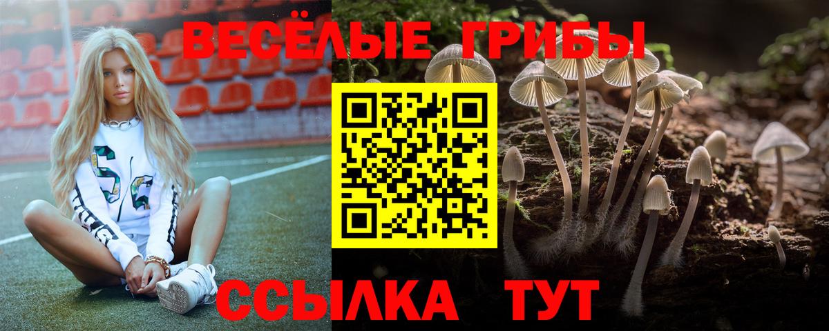 Валуйки  Галлюциногенные грибы мицелий  закладки  Галлюциногенные грибы Psilocybine cubensis  Вход с VPN 